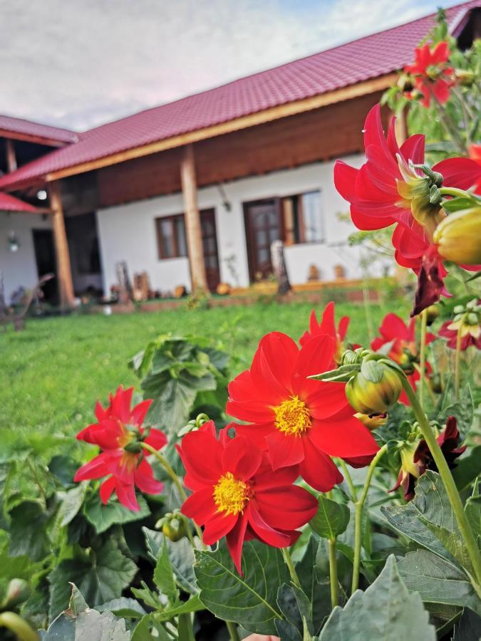 Jugul Taranului Agropensiune Polovragi, Gorj Villa Kültér fotó
