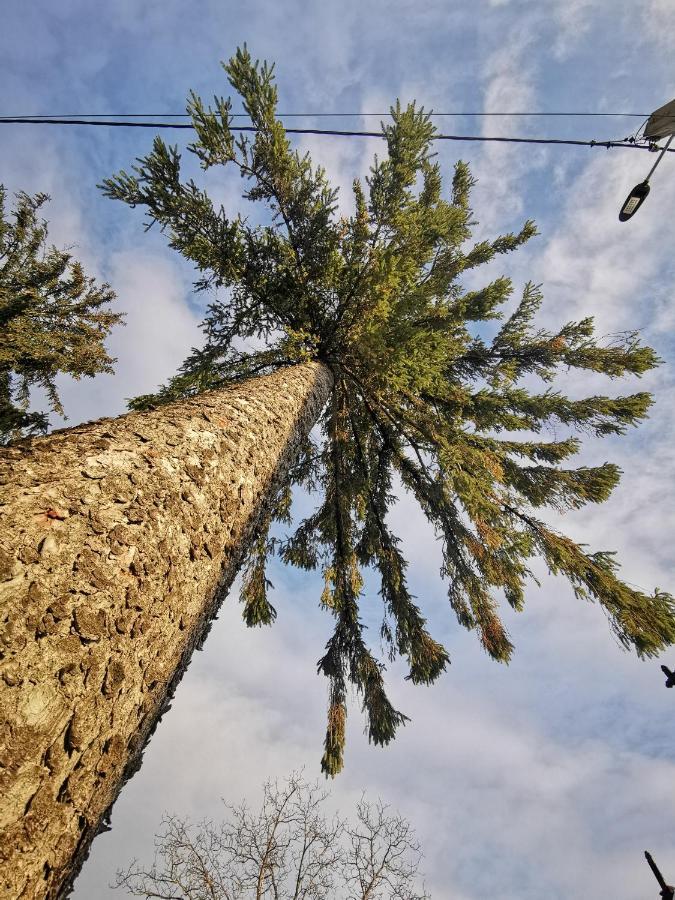 Jugul Taranului Agropensiune Polovragi, Gorj Villa Kültér fotó